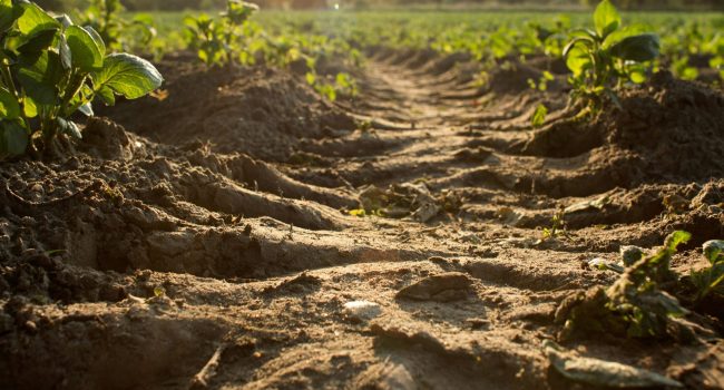 ŽEMĖS IŠTEKLIŲ STEBĖSENOS INFORMACINĖ SISTEMA
